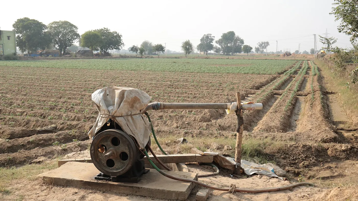 Two-Bore Irrigated Land