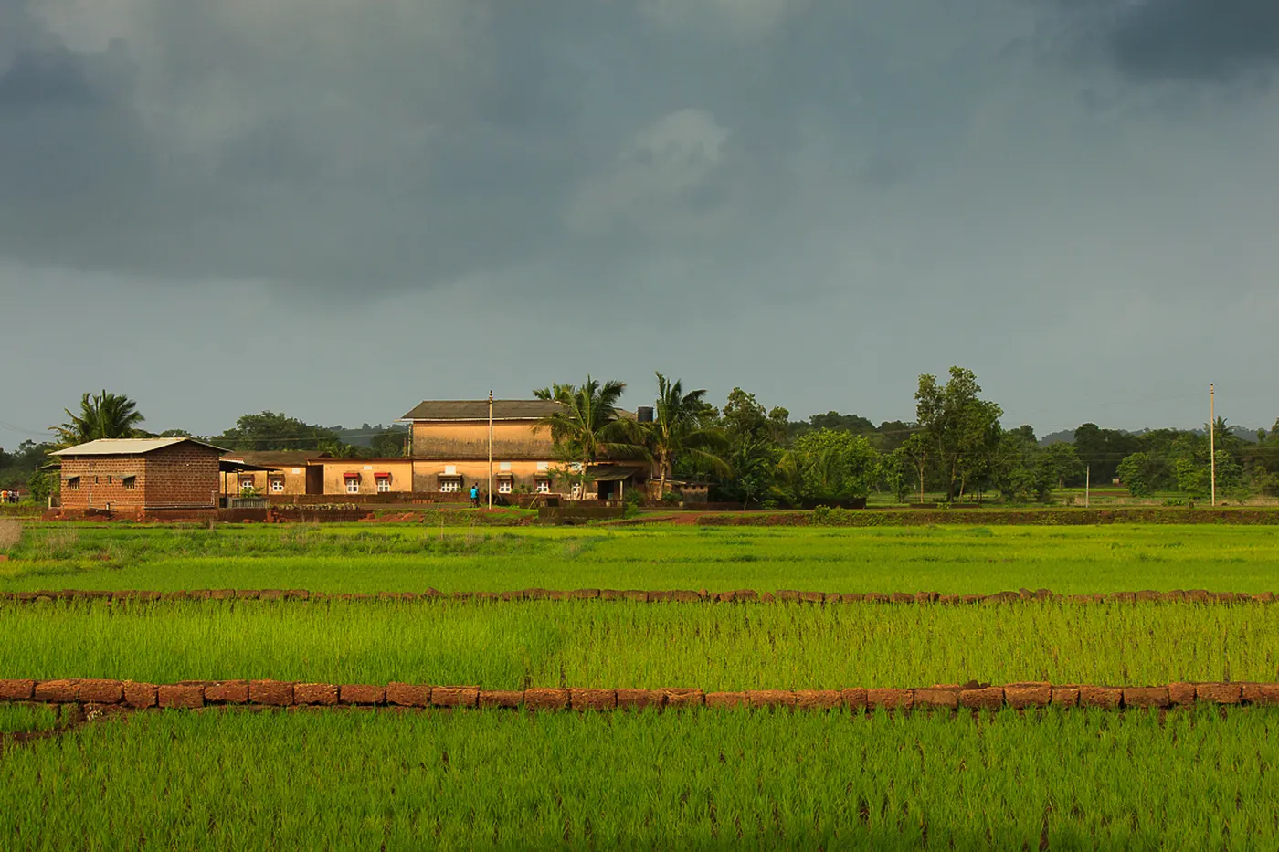 Scenic Farmhouse Plot