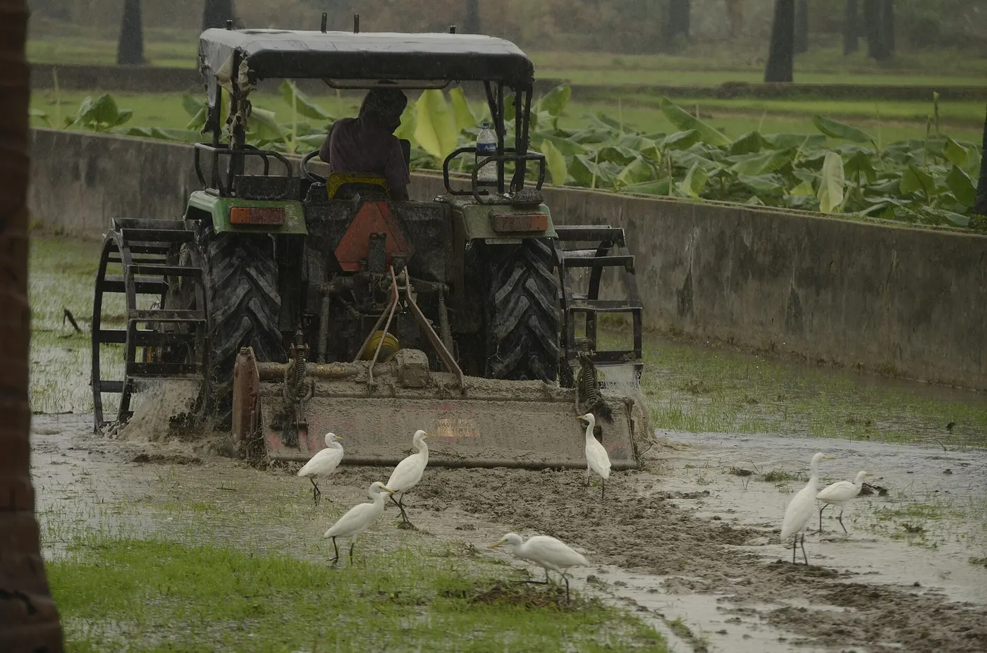 Ready-to-Plough Open Land