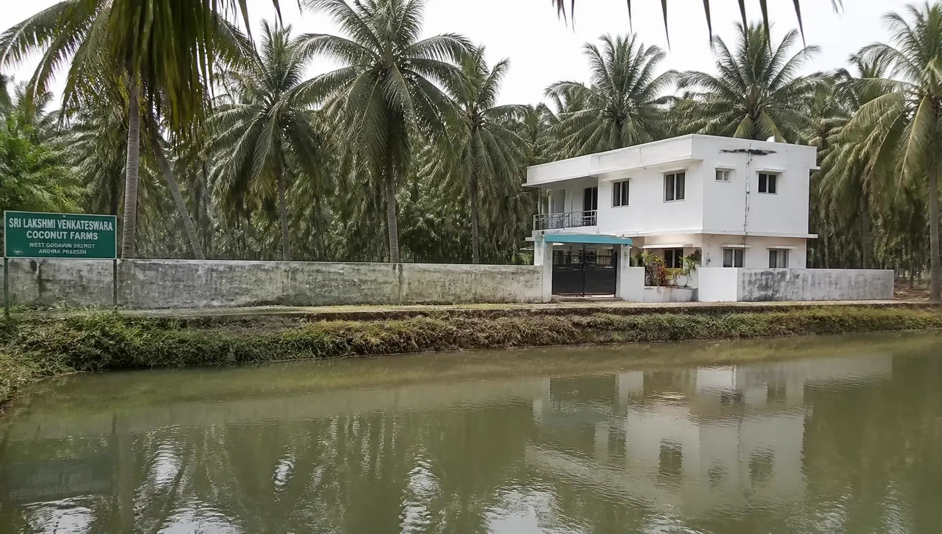 Coconut Farm with Guest House