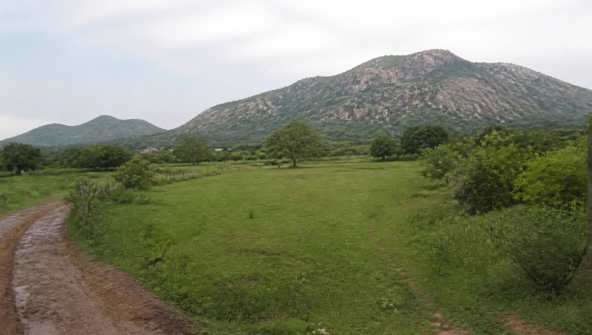 Region View