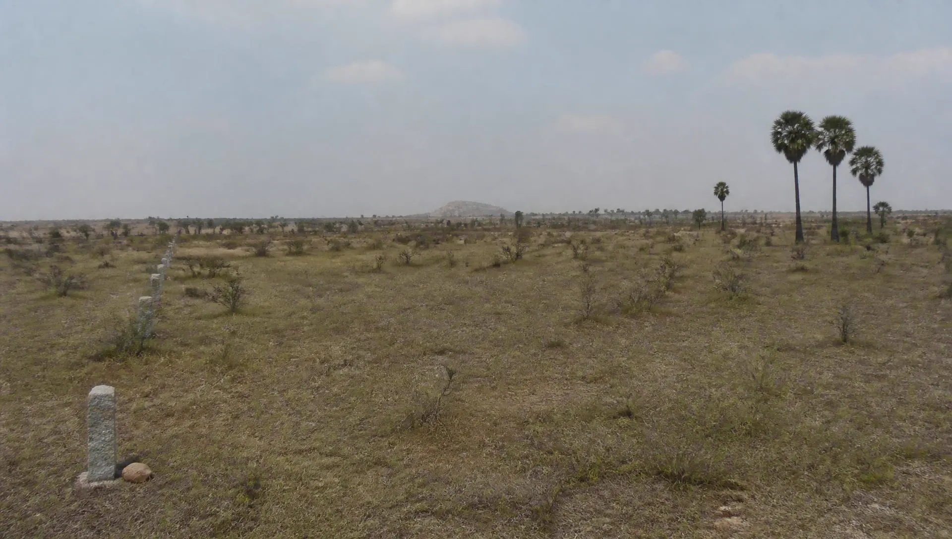 Bulk Land Bank Parcel